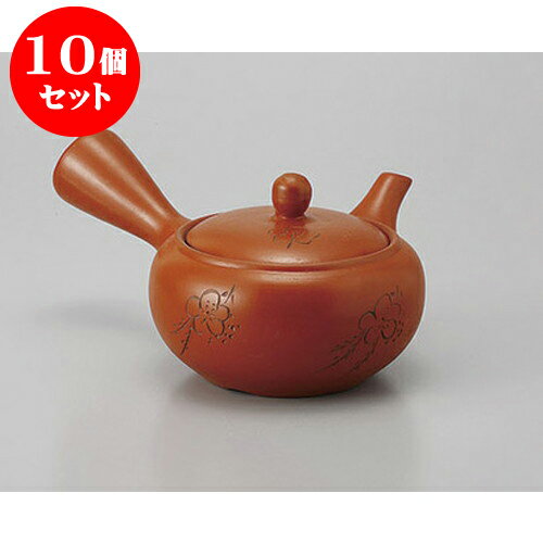 10個セット 急須 朱泥2合梅彫帯網 [360cc] | ポット 急須 きゅうす 土瓶 お茶 一服 まったり 人気 おすすめ 食器 業務用 飲食店 カフェ うつわ 器 おしゃれ かわいい ギフト プレゼント 引き出物 誕生日 贈り物 贈答品 食器セット