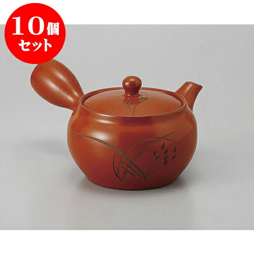 10個セット 急須 朱泥2.2合蘭帯網 [390cc] | ポット 急須 きゅうす 土瓶 お茶 一服 まったり 人気 おす..