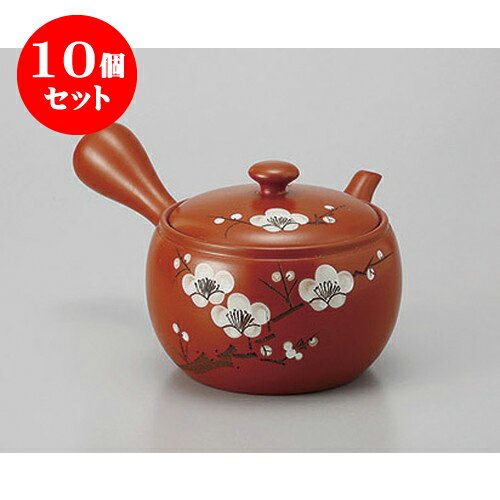 10個セット 急須 朱泥3号白梅急須(ポコアミ) [500cc] | ポット 急須 きゅうす 土瓶 お茶 一服 まったり 人気 おすすめ 食器 業務用 飲食店 カフェ うつわ 器 おしゃれ かわいい ギフト プレゼント 引き出物 誕生日 贈り物 贈答品 食器セット