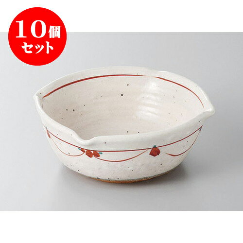10ĥå ȭȭ ֳͤĲ5.5ȭ(¤) [17 x 6.5cm] ʪ | ȭ ȭ ǽ ȭ   ̳...