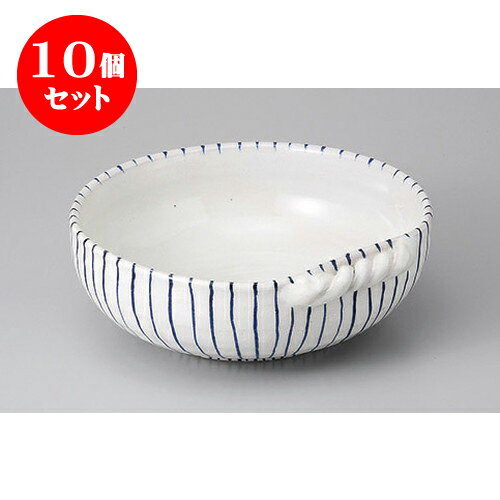 10ĥå ѷȭ ʴ7.0ȭ [21.6 x 22.5 x 7.7cm] ʪ | ȭ ȭ ǽ ȭ  ...