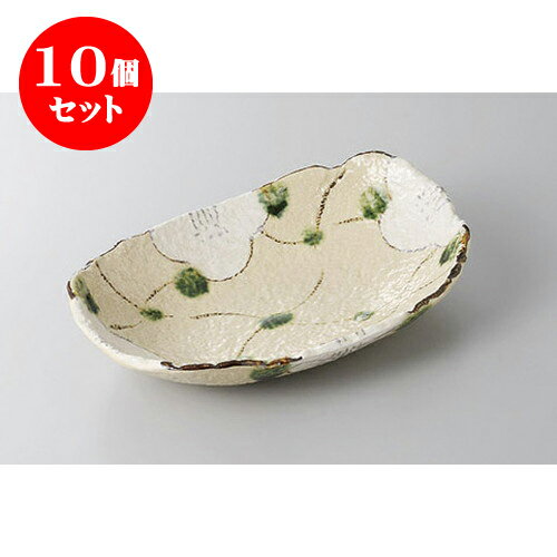 10ĥå ѷȭ ʻҲʪ [22 x 15 x 4.5cm] ʪ | ȭ ȭ ǽ ȭ   ̳ ...