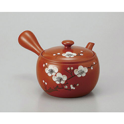 急須 朱泥3号白梅急須(ポコアミ) [500cc] 土物 | ポット 急須 きゅうす 土瓶 お茶 一服 まったり 人気 ..