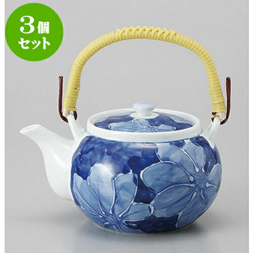 3個セット 有田焼土瓶 有田焼濃葉彩4号土瓶 [650cc] | ポット 急須 きゅうす 土瓶 お茶 一服 まったり 人気 おすすめ 食器 業務用 飲食店 カフェ うつわ 器 おしゃれ かわいい ギフト プレゼント 引き出物 誕生日 贈り物 贈答品 食器セット