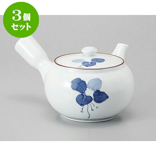 3個セット 有田焼急須 有田焼まんりょう中急須 [350cc] | ポット 急須 きゅうす 土瓶 お茶 一服 まった..