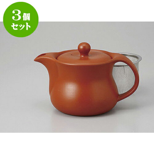 3個セット ポット 朱泥ウス型ポット(U) [450cc] | ポット 急須 土瓶 紅茶 コーヒー まったり 人気 おす..