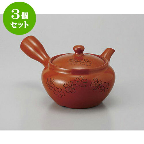 3個セット 急須 朱泥1.8合桜帯網 [320cc] | ポット 急須 きゅうす 土瓶 お茶 一服 まったり 人気 おすすめ 食器 業務用 飲食店 カフェ うつわ 器 おしゃれ かわいい ギフト プレゼント 引き出物 誕生日 贈り物 贈答品 食器セット