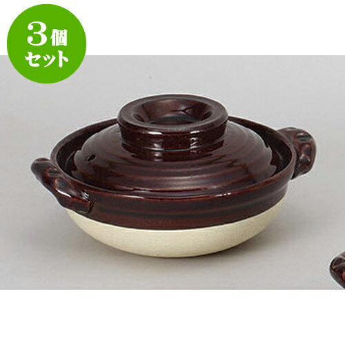 3個セット 土鍋 飴釉5.5号鍋 [16.3 x 17 x 9cm] | 土鍋 小さい 1人用 1人鍋 2人用 インスタ あったかい ほかほか 人気 おすすめ 食器 業務用 飲食店 カフェ うつわ 器 おしゃれ かわいい ギフト プレゼント 引き出物 誕生日 贈り物 贈答品 食器セット