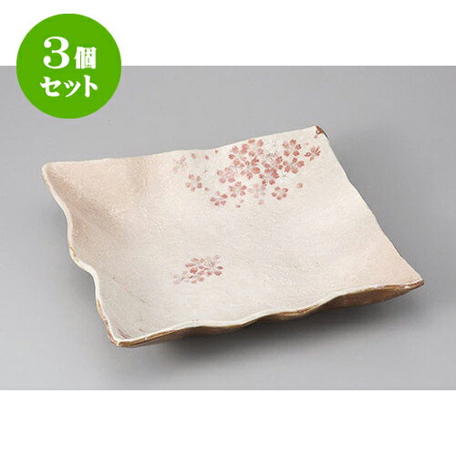 3ĥå  º绮 [27.5 x 27.5 x 5.6cm] | 껮  ͵  ե롼Ļ ѡƥ ...