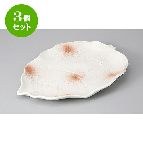 3ĥå ѷ ʴշɥ֥ [36.7 x 26 x 4.2cm] | ѷ  » ͵   ̳ ...