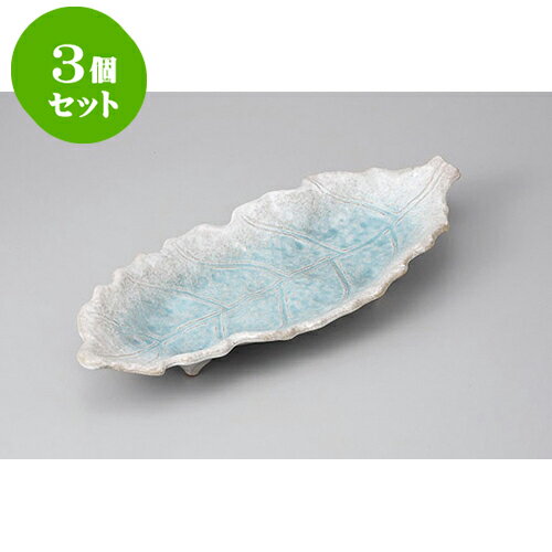 3ĥå ߸ž ֥롼īշ绮 [41 x 17.5 x 5.5cm] | 껮  ͵  ե롼Ļ ѡƥ...