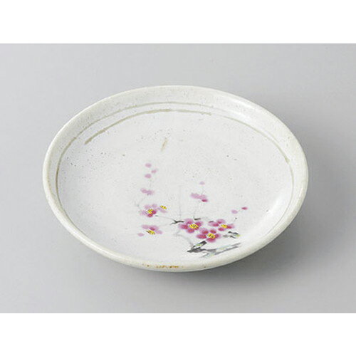 Releveさん専用　小鉢　紅白梅縁6点&オーバルプレート＆ボウル 5セット Releveさん専用 小鉢 紅白梅縁6点&オーバルプレート＆ボウル 5セット