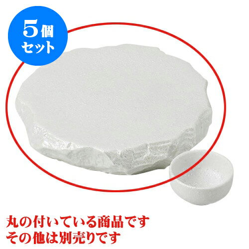 5個セット 刺身 全ラスター崖丸ロックプレート(中) [21 x 21 x 3.9cm] | 白 ホワイト 和食器 刺身 鉢 ボウル 料亭 ホテル 食器 業務用 飲食店 カフェ うつわ 器 おしゃれ かわいい ギフト プレゼント 内祝い 誕生日 贈り物 贈答品 おすすめ 食器セット