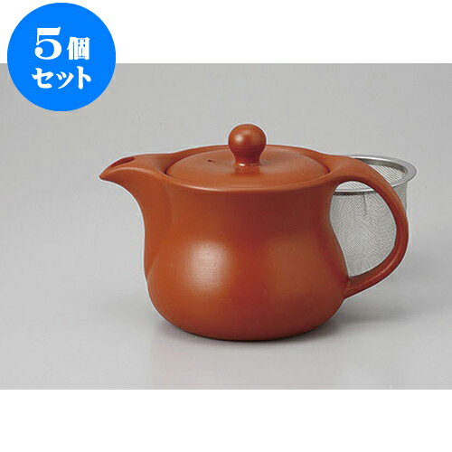 5個セット ポット 朱泥ウス型ポット(U) [450cc] | ポット 急須 土瓶 紅茶 コーヒー まったり 人気 おすすめ 食器 業務用 飲食店 カフェ うつわ 器 おしゃれ かわいい ギフト プレゼント 引き出物 誕生日 贈り物 贈答品 食器セット