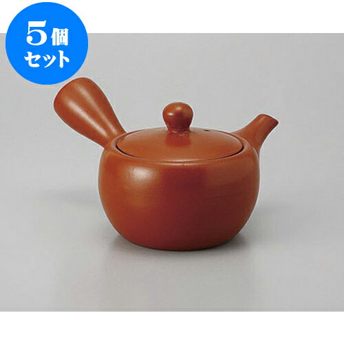 5個セット 急須 朱泥1合無地帯網 [180cc] | ポット 急須 きゅうす 土瓶 お茶 一服 ま
