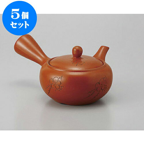 5個セット 急須 朱泥2合梅彫帯網 [360cc] | ポット 急須 きゅうす 土瓶 お茶 一服 ま