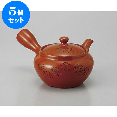 5個セット 急須 朱泥1.8合桜帯網 [320cc] | ポット 急須 きゅうす 土瓶 お茶 一服 