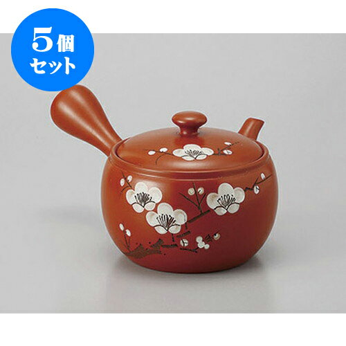 5個セット 急須 朱泥3号白梅急須(ポコアミ) [500cc] | ポット 急須 きゅうす 土瓶 お茶 一服 まったり 人気 おすすめ 食器 業務用 飲食店 カフェ うつわ 器 おしゃれ かわいい ギフト プレゼント 引き出物 誕生日 贈り物 贈答品 食器セット