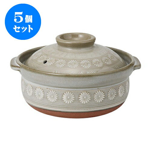 5ĥå  ֻ6ÿ [18.7 x 21 x 12cm] | ͵   ο ̳ Ź ե Ĥ   襤 ե ץ쥼  £ 糧å 糧å