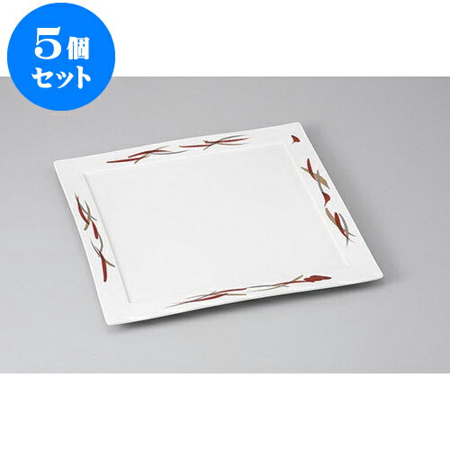 5ĥå  ֶ̺6 [17.7 x 17.7 x 1.5cm] | 껮  ͵  ե롼Ļ ѡ...