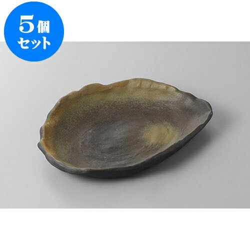 5ĥå ѷ ѷ» [19.5 x 15.5 x 2.8cm] | ѷ  » ͵   ̳ Ź...