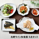 志野ライン 和食器5点セット | 陶器 織部 中皿 小皿 珍味 オシャレ食器 お洒落 可愛い かわいい 陶器 和食器 食洗機可 レンジ可 業務用 日本製 国産 ギフト プレゼント 誕生日 出産祝い 食器セット 新生活 一人暮らし 引っ越し その1