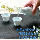 水色の爽やかな酒器3点セット かすみ（青白） | 水色 ライトブルー 徳利 盃 酒器セット お花見 シック オシャレ食器 お洒落 可愛い か..