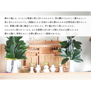 お清め塩500g|送料無料国産天然盛塩お清め清めの塩風水開運グッズ風水グッズ風水アイテム縁起物開運祈願厄除け商売繁盛恋愛成就神具神社プレゼントギフトお土産日本文化風習