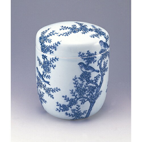 ���� ��Ļ 5�� [5��] | ʩ�� ʩ�� ���� ����� �ޤ��� ���� ���� ���� ʩ�� ʩ�� �� ��˷���� ������ �긵���� �Ƕ�