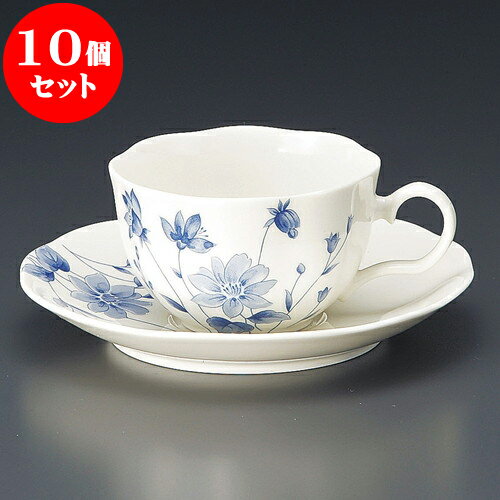 10ĥå ҡ NB֥롼եҡһ [ 9 x 8.8 x 5.5cm 200cc  15 x 14.9 x 2.2cm ] | ͵ ...