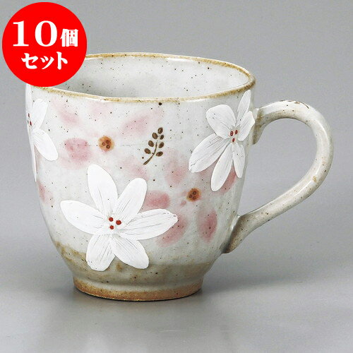 10ĥå ޥå ܥ⥹ ޥP [ 9.4 x 9cm 320cc ] | ޥ ޥå ҡ  ƥ ͵  ...