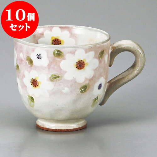 10ĥå ޥå ֤ۤΤޥ P [ 8.8 x 8.4cm 285cc ] | ͵   ο ̳ Ź ...