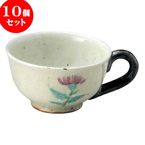 10ĥå ƫץ  ҡ [ 180cc ] | ͵   ο ̳ Ź ե Ĥ   襤...