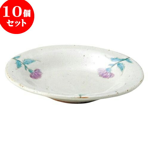 10ĥå ƫץ  ҡ [ 9.7 x 5.3cm ] | ͵   ο ̳ Ź ե Ĥ  ...