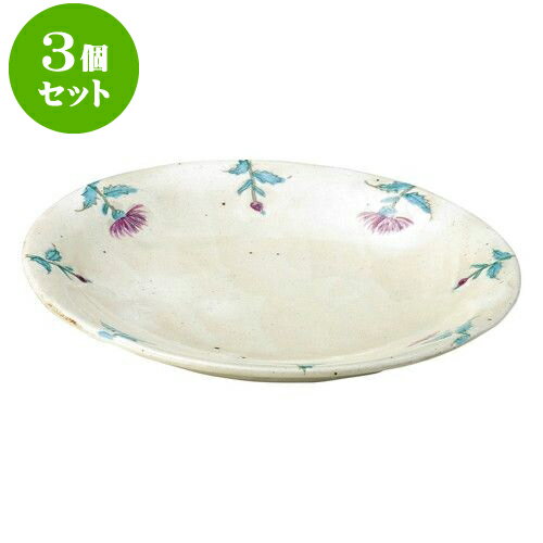 3個セット 和陶オープン 手描きあざみ 7.0皿 [ 22.8 x 3.2cm ] | 人気 おすすめ 食器 洋食器 業務用 飲食店 カフェ うつわ 器 おしゃれ かわいい ギフト プレゼント 誕生日 贈答品 食器セット 食器セット