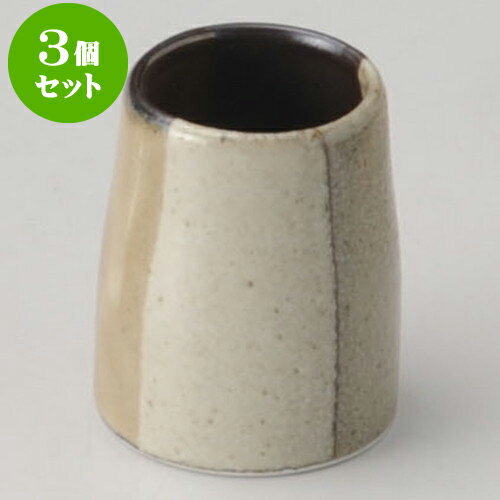 3個セット卓上カスターセット 紬塗分け切立楊枝立 [ 4.2 x 5.1cm ] | カスターセット 調味料入 卓上 薬味入 調理器具 キッチン 台所 プレゼント ギフト 結婚祝い 引き出物 内祝い 開店祝い 退職祝い せともの 瀬戸物 贈答品 贈り物 人気 通販 食器セット