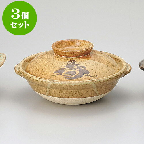 3個セット特選土鍋 5.5号土鍋（有田焼） [ 17.5 x 9cm ] | 土鍋 小さい 1人用 1人鍋 ミニ インスタ あったかい ほかほか 人気 おすすめ 食器 業務用 飲食店 カフェ うつわ 器 おしゃれ かわいい ギフト プレゼント 引き出物 誕生日 贈り物 食器セット