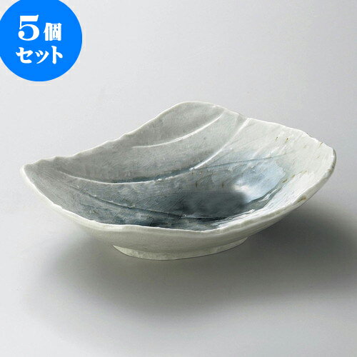 5個セット大鉢 湖畔大鉢 [ 22 x 18 x 6.5