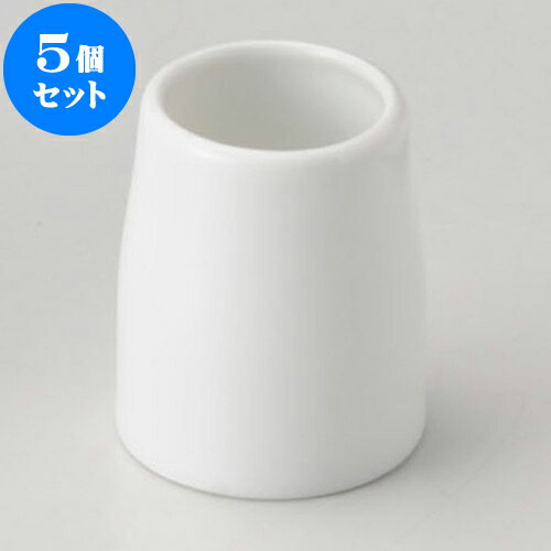 5個セット 卓上カスターセット 白磁切立楊子立て [ 3.7 x 5.1cm ] | カスターセット 調味料入 卓上 薬味入 調理器具 キッチン 台所 プレゼント ギフト 結婚祝い 引き出物 内祝い 開店祝い 退職祝い せともの 瀬戸物 贈答品 贈り物 人気 通販 食器セット