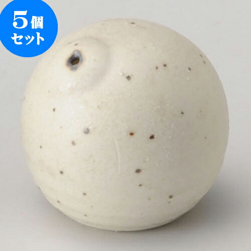 5個セット 卓上カスターセット 梨地丸一ツ穴塩 [ 5.5 x 5.5cm ] | カスターセット 調味料入 卓上 薬味..