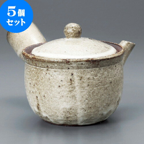 5個セット 急須 窯変1.5合深急須（信楽焼）9.8 x 9.5cm 300cc ] | ポット 急須 きゅうす 土瓶 お茶 一服 まったり 人気 おすすめ 食器 業務用 飲食店 カフェ うつわ 器 おしゃれ かわいい ギフト プレゼント 引き出物 誕生日 贈り物 贈答品 食器セット