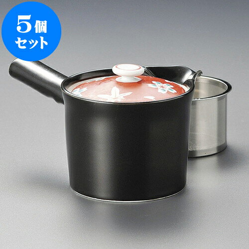 5個セット 急須 赤濃春秋黒SS急須（有田焼）10.5 x 10.5 x 9.5cm 370cc ] | ポット 急須 きゅうす 土瓶..