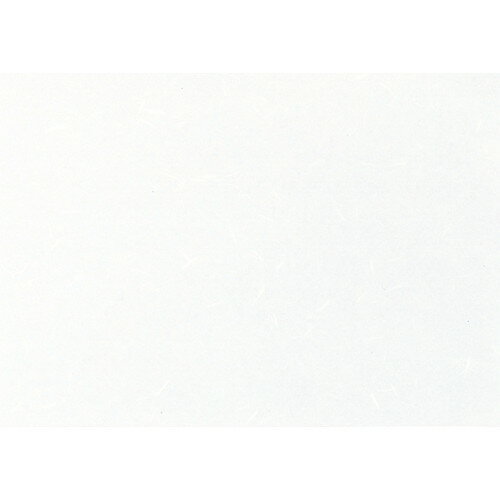  ߻  饳ԡ»CT-01M  A4(ޥߥ) 100 [ 210 x 297mm ] | ޥå Хޥå  ...