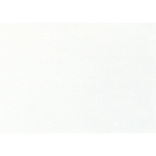 ☆ 敷紙 ☆ 高級コピー用和紙CT-01 白 A4(ミシン目無し) 100枚入 [ 210 x 297mm ] | ランチョンマット 懐..