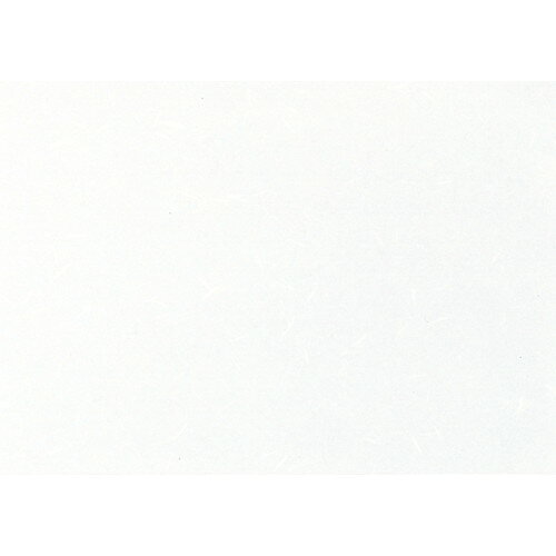 [商品名]　高級コピー用和紙CT-13 白 B4 (ミシン目無し) 100枚入[素材]　和紙[寸法]　257 x 364mmお店からご自宅まで、季節を問わず、様々なシーンでご利用いただける商品です。[ 257 x 364mm ] 和紙 日本製 一部の商品はメーカーよりお取り寄せとなりますので、納期が前後することがございます。あらかじめご了承ください。商品によっては手造りのため、写真と色・かたちが若干異なることがございます。われものですので丁重に梱包させていただいておりますが、ご質問などございましたらお気軽にお問い合わせください。ご注文に関する注意事項は 【こちら】ご購入前にご確認ください。