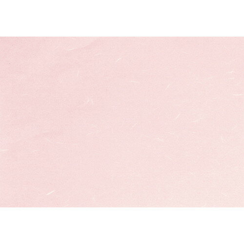  ߻  饳ԡ»CT-16 ԥ B4 (ߥ̵) 100 [ 257 x 364mm ] | ޥå Хޥå  ...