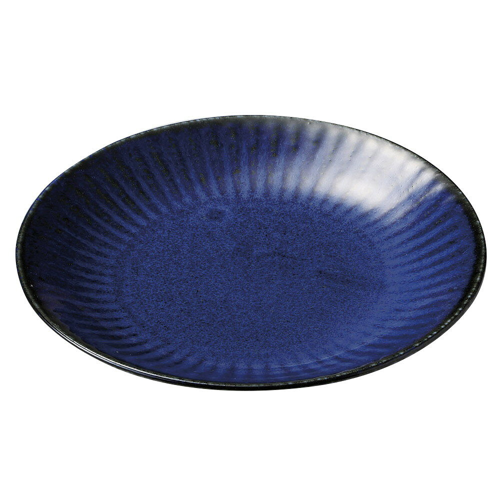 ネプチューン3.5皿 φ12.2 x 1.8cm 和皿 小皿 取り皿 人気 おすすめ 食器 業務用 飲食店 小さいお皿 カフェ うつわ 器 おしゃれ かわいい ギフト プレゼント 引き出物 誕生日 贈り物 贈答品 SNS 便利 内祝い 開店祝 普段使い 引っ越し祝い