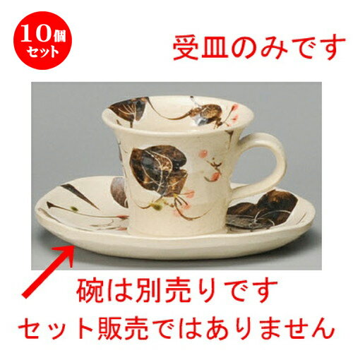 10ĥåȡ ҡ  襳ҡ [ 160 x 145 x 22mm ] | ҡ å ƥ   ͵  ...