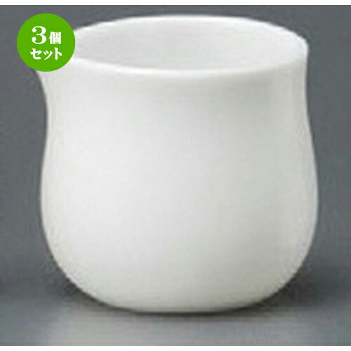 3個セット ☆ コーヒー小物 ☆ 白磁シロップ [ 40 x 40mm・60cc ] | クリーム ミルク ポット ソース ドレ..