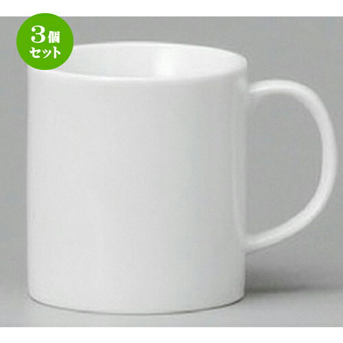 [商品名]　白DTマグ[素材]　陶磁器[寸法]　[ 70 x 77mm・210cc ] お店からご自宅まで、季節を問わず、様々なシーンでご利用いただける商品です。1個あたりの寸法[ 70 x 77mm・210cc ]メーカーからの取り寄せ商品の為、納期まで1週間前後かかります。あらかじめご了承ください。商品によっては手造りのため、写真と色・かたちが若干異なることがございます。われものですので丁重に梱包させていただいておりますが、ご質問などございましたらお気軽にお問い合わせください。ご注文に関する注意事項は 【こちら】ご購入前にご確認ください。 ご注文に関する注意事項は 【こちら】ご購入前にご確認ください。 &nbsp;&nbsp;&nbsp; 二彩ぶどうマグ（赤） [85 x 85mm・270cc] 梅ヌキマグ [85 x 80mm・280cc] 白Aマグ [75 x 90mm・270cc] &nbsp;&nbsp;&nbsp; 白Hマグ [74 x 81mm・250cc] 白H2マグ [79 x 90mm・300cc] 白FFマグ [84 x 83mm・290cc]